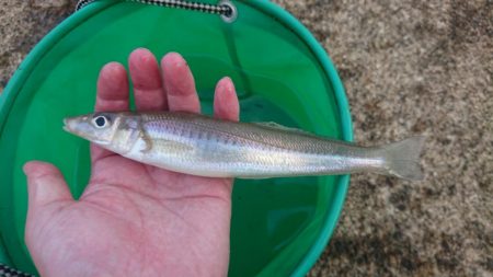 日本海のキスは最高