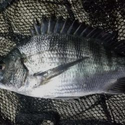 スローフォール