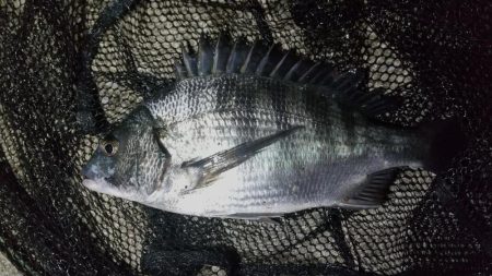 スローフォール