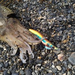 サーフでカミナリさん