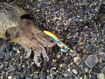 サーフでカミナリさん