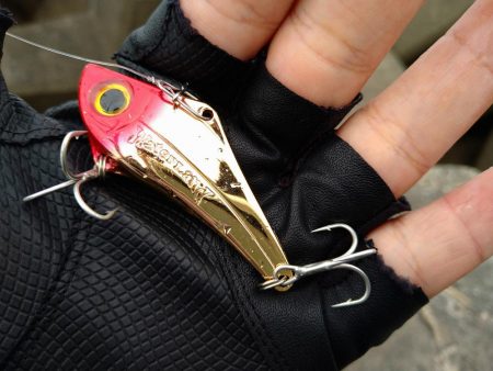 シーバス狙いでアジ