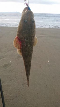 サーフカレント