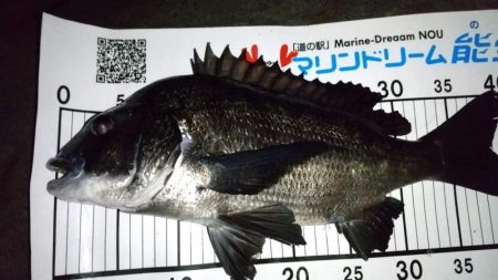 梅雨メバリング　外道のオンパレード