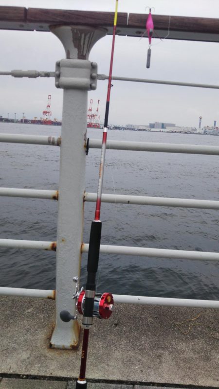 ぶらコスモ！！