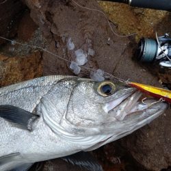 やっと釣れたー!