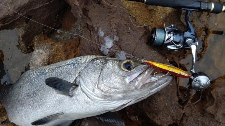 やっと釣れたー!