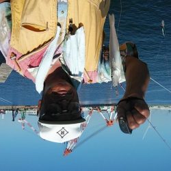 播磨新島のキス調査