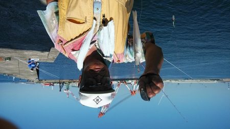 播磨新島のキス調査