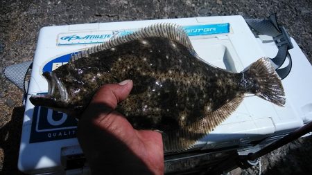 播磨新島５連投