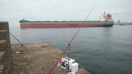 朝から播磨新島のキス調査