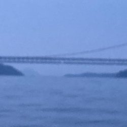 初の一つテンヤ