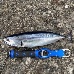 やっと夏っぽくなってきました!