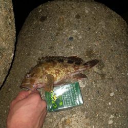 ライトテキサス