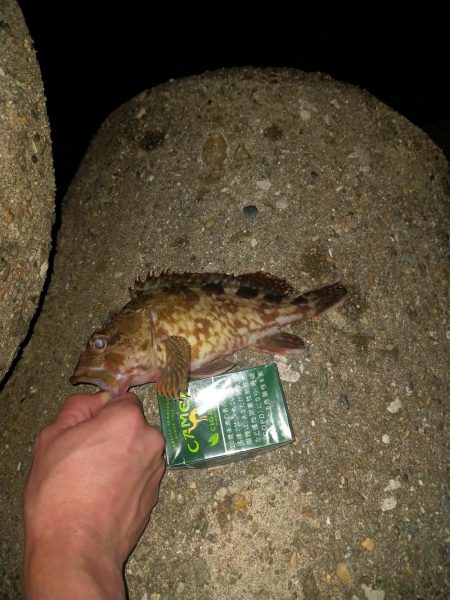 ライトテキサス