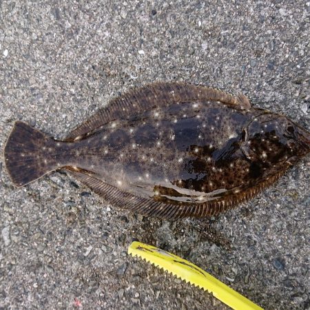 ショアジョギング