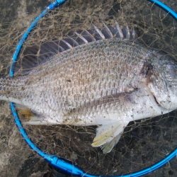 釣りデビュー 164日目