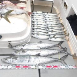 SOUTH 乗合便4名様釣果