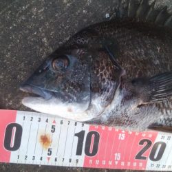 釣りデビュー 168日目❤