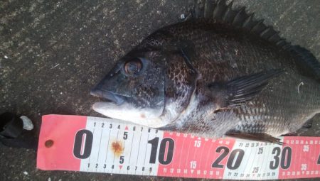 釣りデビュー 168日目❤