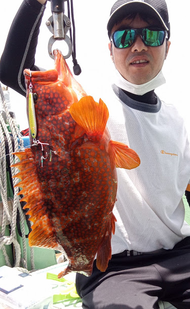康仁丸・餌釣り・ジギング釣り果