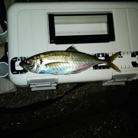 フロートゲーム~