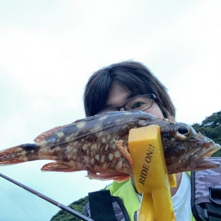 A.P.Pフィッシングガイドサービス　アジとﾊﾀﾝﾎﾟの群れに出会う