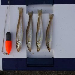 梅雨の晴れ間を狙って