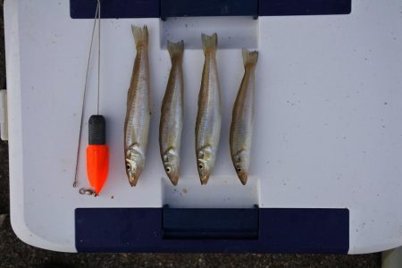 梅雨の晴れ間を狙って