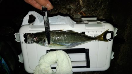 (尺アジ)フロートゲーム