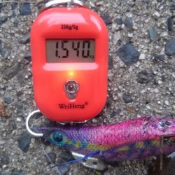 久しぶりのヒット～✌️