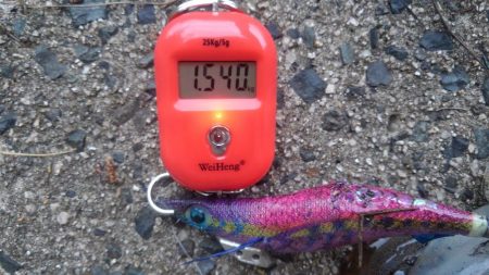 久しぶりのヒット～✌️