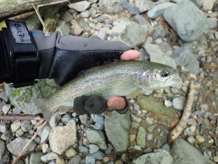 増水が吉と出て