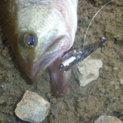 降りそで降らない