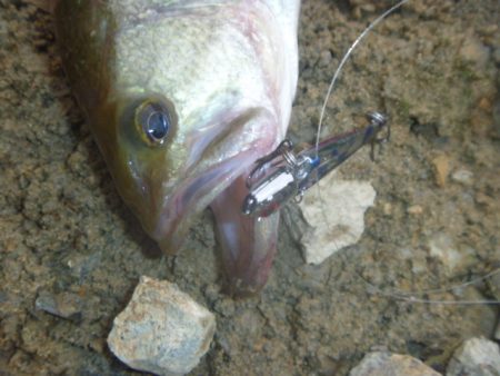 降りそで降らない