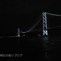 小サバ入れ食い