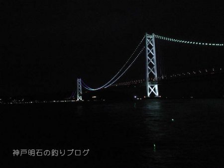 小サバ入れ食い