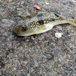 初めての海辺つり公園！