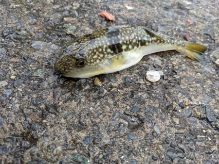 初めての海辺つり公園！