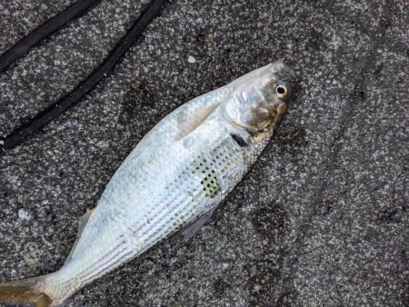 根岸付近の緑地公園にて！