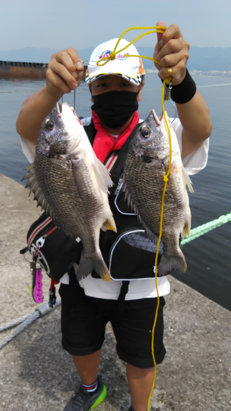 元気なキビレ！