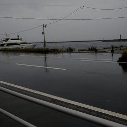 はじめてメバル釣りました!