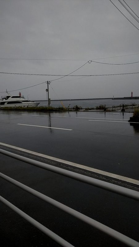 はじめてメバル釣りました!