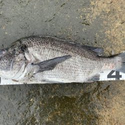 イチノ兄弟、釣果!