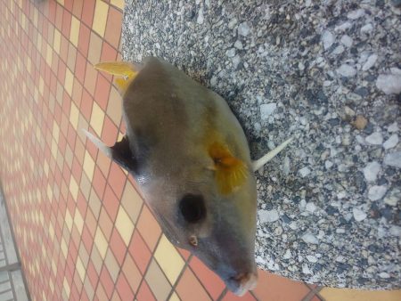 1時間で　～辰巳橋～