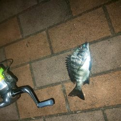 電気ウキでウキフカセ ~潮見~