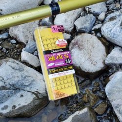 和歌山鮎だより