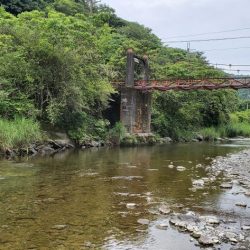 解禁日から1週間