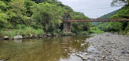 解禁日から1週間