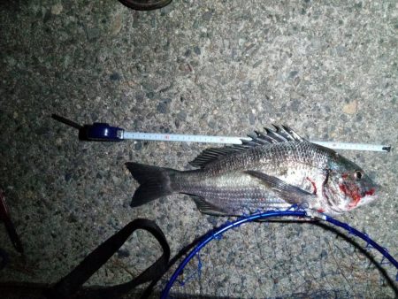 ヒラメ釣ってからルアーで釣れるまで半年かかってしまった。嬉しさ100倍